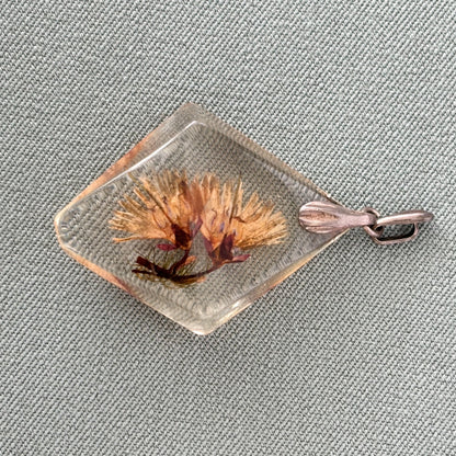 Vintage Perspex Dried Flower Pendant