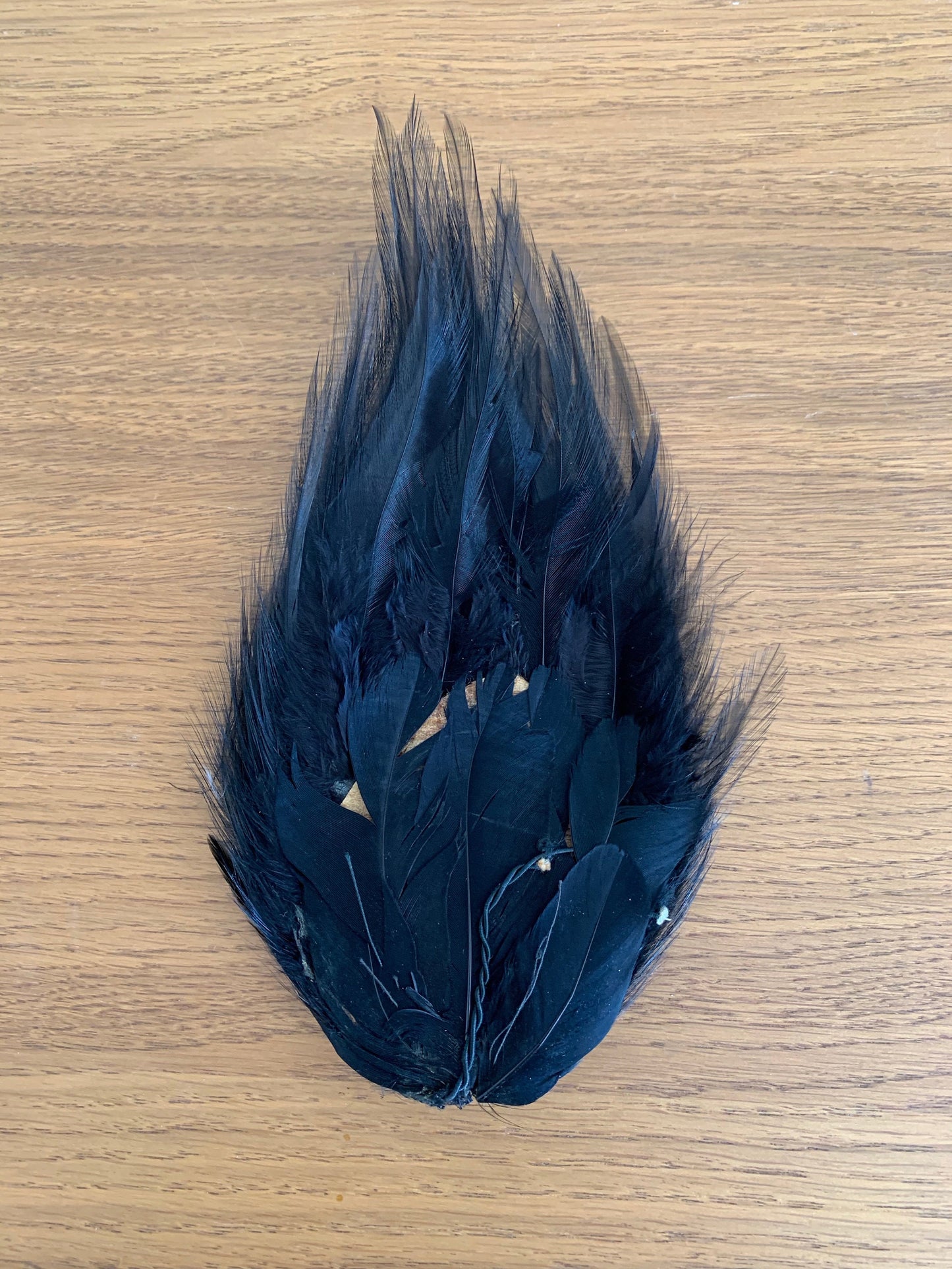 Antique Millinery Black Feather Piece